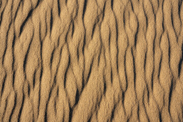 Patterns of ripples on sand dunes