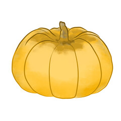 pumpkin isolated on white