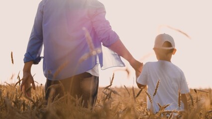 Happy boy kid with father holding hands walking at sunlight dry wheat field back view closeup....