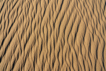 Patterns of ripples on sand dunes