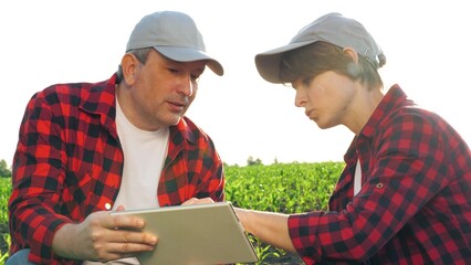 Man and woman agronomist talking analyzing harvest cultivation use digital tablet closeup. Two...
