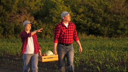 Farmer couple carrying harvest crate talking going at sunset corn field. Agronomist man and woman...