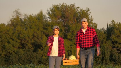 Agronomist farmer couple carrying harvest vegetable crate at sunset countryside slowmo. Man and...