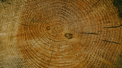 Fototapeta premium Texture wooden lines