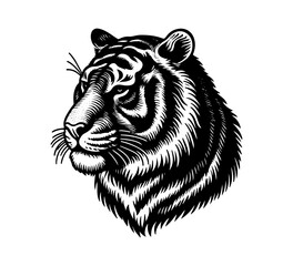 tiger simple vintage hand drawn vector