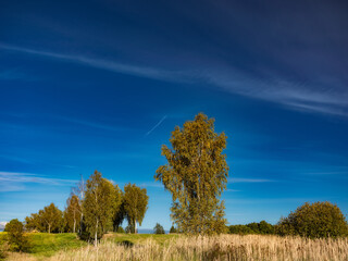 Łąka © Robert