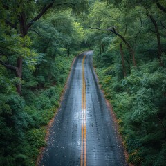 Obraz premium Narrow street between woodland, drone's view 