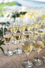 Sparkling champagne glasses