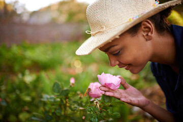 Nature, gardening and woman smelling flowers for sustainable planting of roses in park. Growth,...