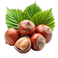 hazelnuts with leaves on transparent background