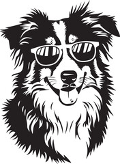 funny Australian Shepherd dog with sunglasses