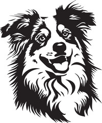 funny Australian Shepherd dog portrait