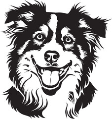 Fototapeta premium Australian Shepherd dog portrait
