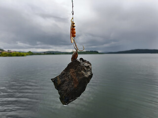 shell living on a stone, caught with artificial bait for catching predatory fish
