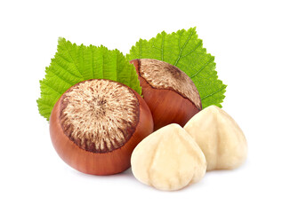 Group of  hazelnuts with leaves on a white background
