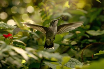 Obraz premium A hummingbird hovers in mid-air among vibrant green foliage in a lush, sunlit garden.