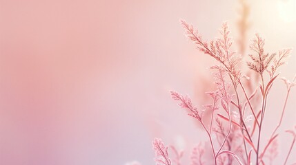 Fototapeta premium Pink Flower On A Pink Background.