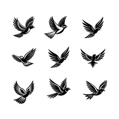 a collection of black and white birds with black wings.