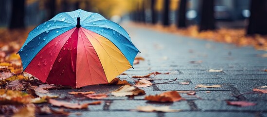 Open colorful umbrella and fallen leaves on wet pavement Space for text. copy space available