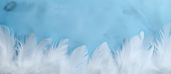Feathers background light blue background with goose feather frame border Blue texture with copy space