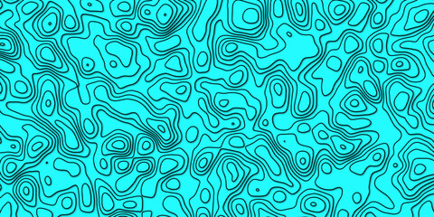 Elegant Vector Artwork Depicting a Topographic Map with Rich Topographical Features and Complex Topology, Suitable for Geographic Analysis, Modern Cartography, and Educational Materials