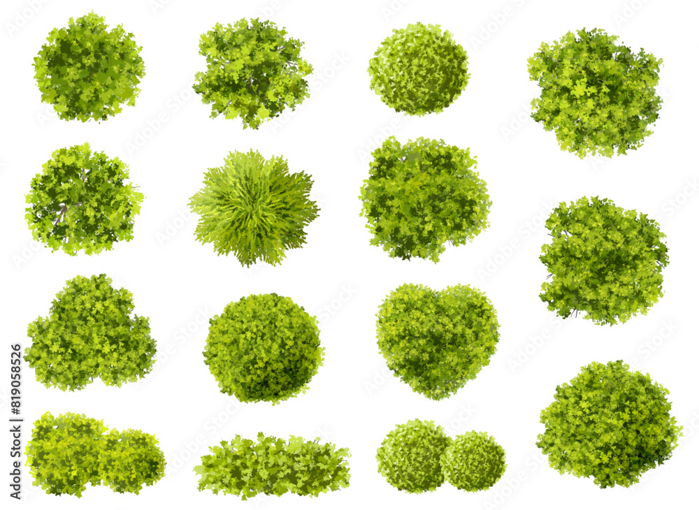 Wall mural vector set of top view green tree for outdoor plan or map and architecture drawing, elements for env