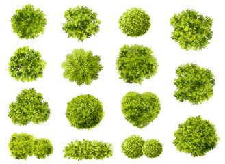 Vector set of Top view green tree for outdoor plan or map and architecture drawing, elements for environment and garden,botanical elements ,blooming flowers in spring,tropical plants element