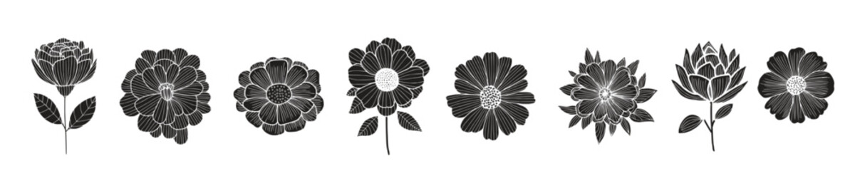 Vector black silhouettes of flowers isolated on a white background.