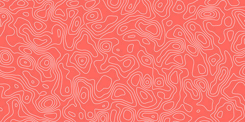 Elegant Vector Representation of a Topographic Map Showcasing Layered Topography and Detailed Topological Lines, Suitable for Geographic Analysis, Data Visualization, and Creative Design Applications