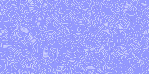 "Comprehensive Vector Illustration of a Topographic Map Highlighting Rich Topographical Features and Precise Topology, Ideal for Educational Materials, Geographical Studies, and Digital Art Projects