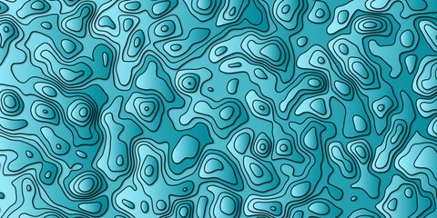 "Comprehensive Vector Illustration of a Topographic Map Highlighting Rich Topographical Features and Precise Topology, Ideal for Educational Materials, Geographical Studies, and Digital Art Projects