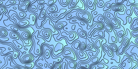 "Comprehensive Vector Illustration of a Topographic Map Highlighting Rich Topographical Features and Precise Topology, Ideal for Educational Materials, Geographical Studies, and Digital Art Projects