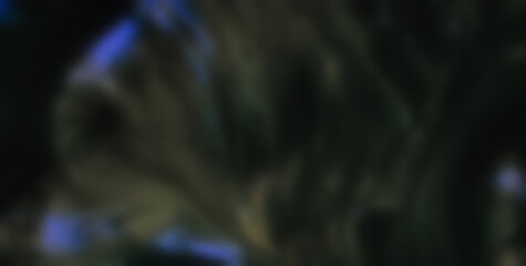 A Vivid Tapestry of Colors and Abstract Forms