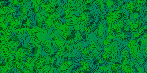 Stylish Vector Artwork Depicting a Topographic Map with Rich Topographical Details and Complex Topology, Great for Geographic Representations, Digital Art, and Educational Materials