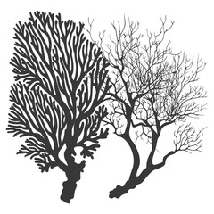 Naklejka premium silhouette corals are marine invertebrate animal black color only
