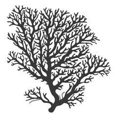 silhouette corals are marine invertebrate animal black color only