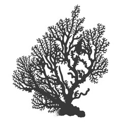 silhouette corals are marine invertebrate animal black color only