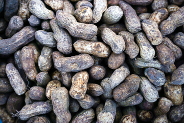 Raw peanuts before being processed must be washed first so that the soil is separated from the skin...