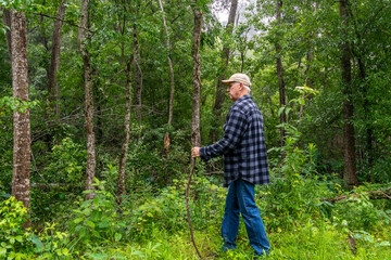 Senior man with a hiking pole walking through the dense forest.