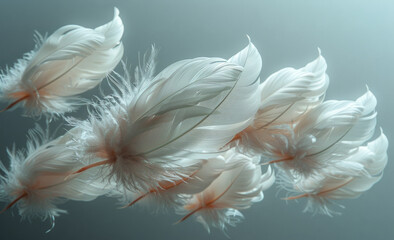 White feathers on blue background. A phone background with white feathers floating in the air