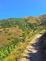 Fototapeta premium path in the mountains Tatra mountains in Poland