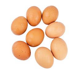 chicken eggs isolated on a white background