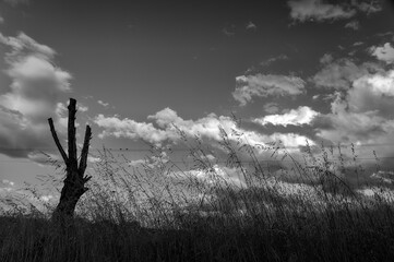 A day in Pialassa dei Piomboni near Ravenna, Italy