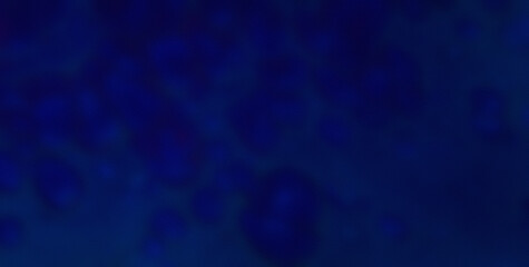 Experience the Whimsy of a Colorburst on a Cute and Colorful Abstract Background