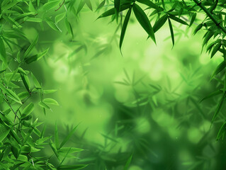 Nature,bamboo close up,green bamboo forest background