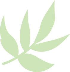 Green leaf vector illustration. Leaves on white background. Ecology.