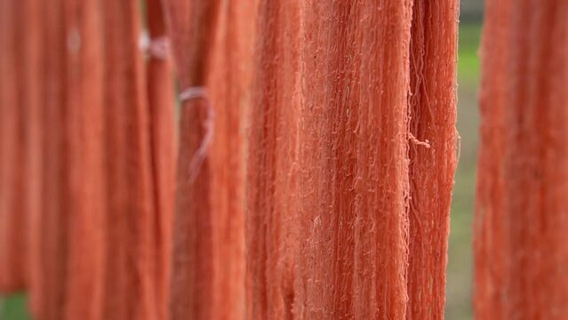 Dyeing thread with natural dyes