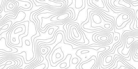 Creative Vector Representation of a Topographic Map Showcasing Complex Topographical Patterns and Detailed Topology, Perfect for Digital Art, Geographic Studies, and Data Visualization