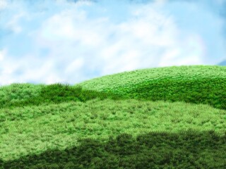 green grass and blue sky