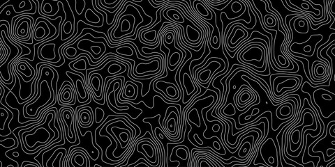 Comprehensive Vector Design Illustrating a Topographic Map with Rich Topography and Complex Topological Features, Great for GIS Applications, Cartographic Design, and Educational Content